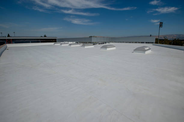 Best Roof Leak Repair  in Woodmoor, CO