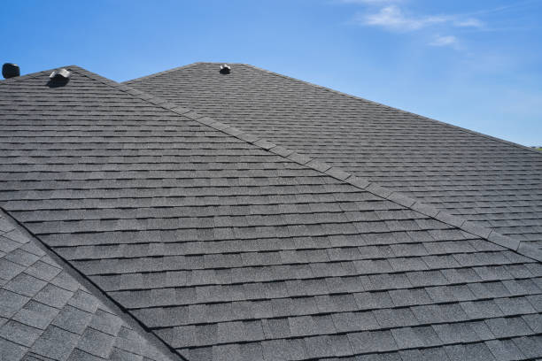 Best Roof Coating and Sealing  in Woodmoor, CO