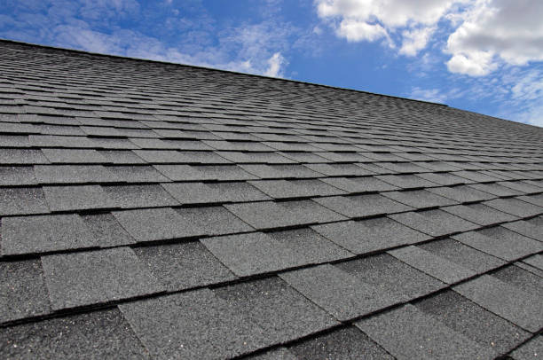 Trusted Woodmoor, CO Roofing service Experts